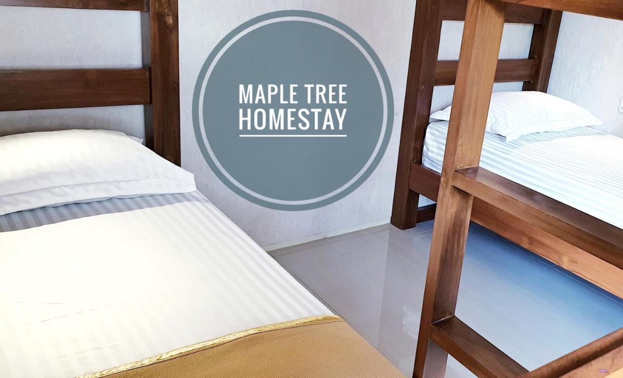 Maple Tree Homestay Maguwo Exterior photo