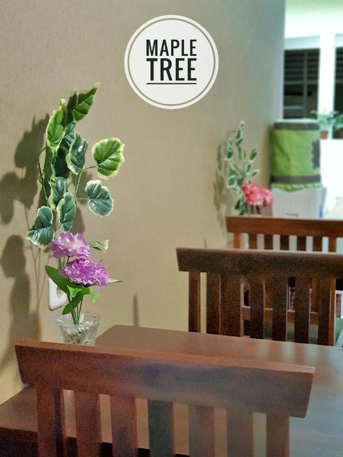 Maple Tree Homestay Maguwo Exterior photo